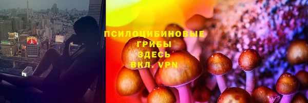 СК Магадан
