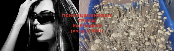 СК Магадан