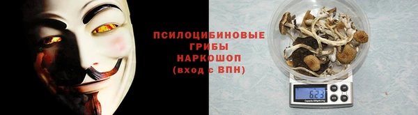 СК Магадан