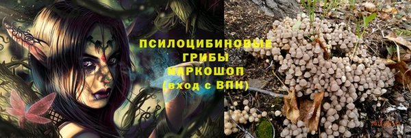СК Магадан