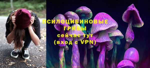 СК Магадан