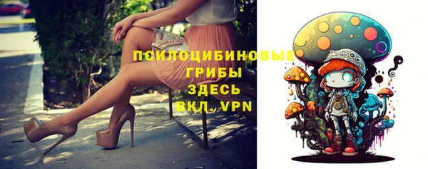 СК Магадан