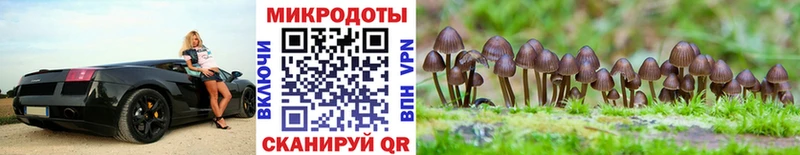 Купить  Алупка  Псилоцибиновые грибы MAGIC MUSHROOMS 